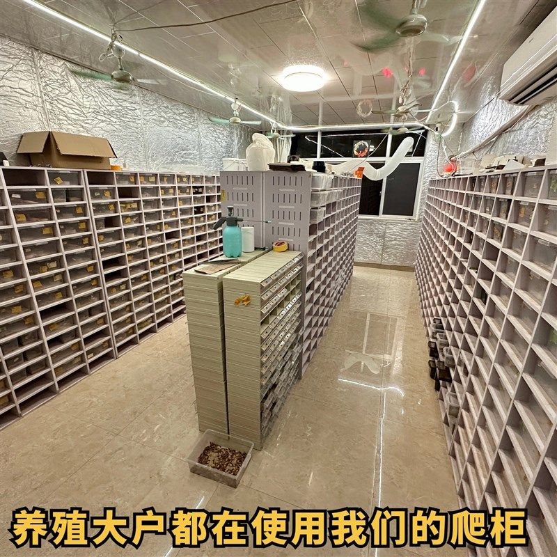 PVC爬柜蛇柜豹纹守宫蜥蜴爬宠饲养箱6A432抽P屉盒繁殖一体恒温保,宠物/宠物食品及用品,爬宠缸/箱,淘宝优惠券,粉丝福利购,淘宝优惠卷