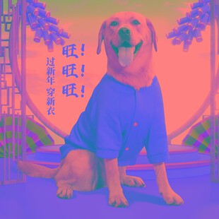 新年大狗c狗衣服过年喜庆秋冬装金毛拉布拉多萨摩耶中型大型犬冬