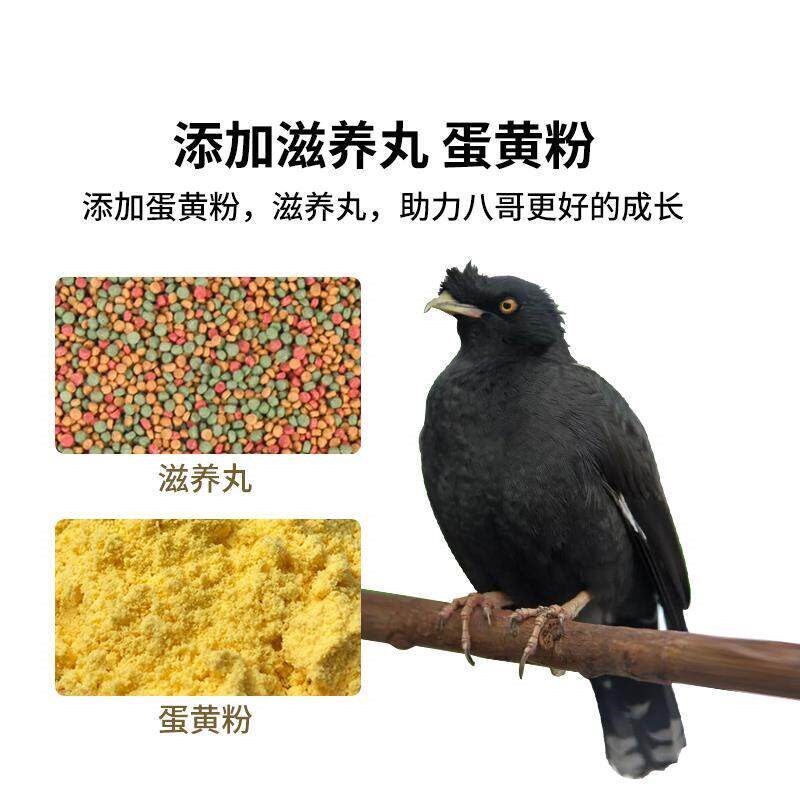 八哥鹩哥饲d料鸟粮零食营养鹩哥鸟食海八黑八专用鸟粮粮鸟料高蛋