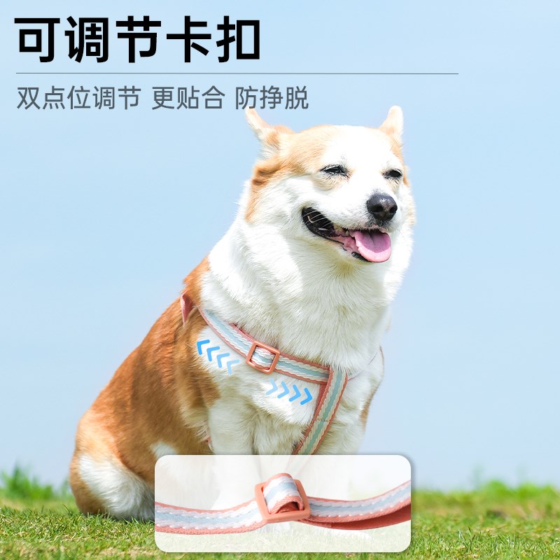 狗狗牵引绳狗h胸背背心式遛狗绳子中小型犬柯基比熊夏季外出绳
