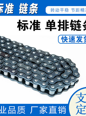 工业传动链条3分06B/4分08B/5分10A/6分1K2A/1寸16A/单排双排链条