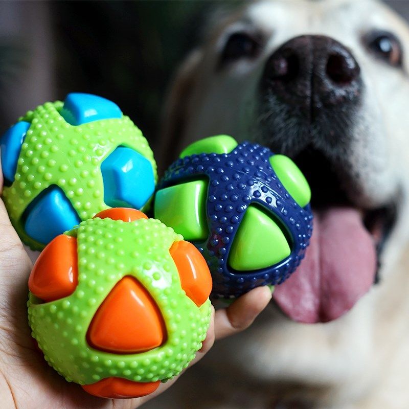 宠物狗狗b发声玩具耐咬磨牙橡胶洁齿咬胶撞色球磨牙浮水球互动训,宠物/宠物食品及用品,发声玩具,淘宝优惠券,粉丝福利购,淘宝优惠卷