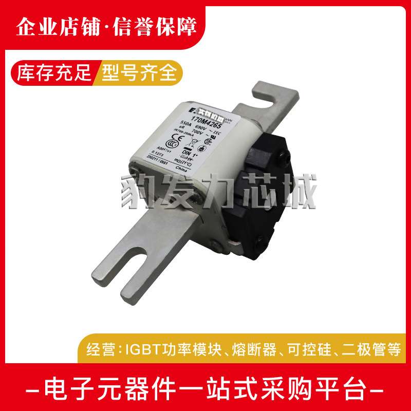 170M4308 170M4309 170M4310 170M4311 170M4312 170M4313熔断器