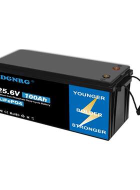 25.6V lead to lithium battery 100ah 200ah RV golf cart solar