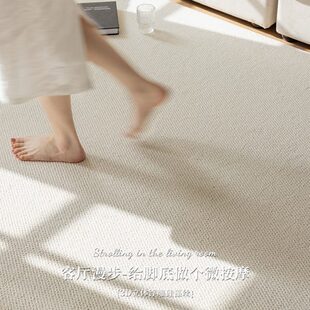 轻奢高级米白纯色沙发客厅地毯卧室免洗可擦防水防污地垫 2024新款
