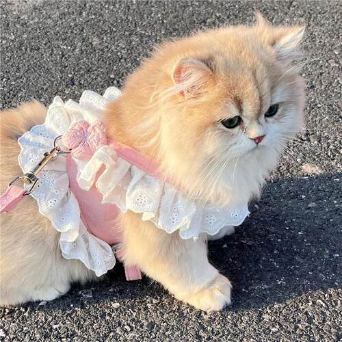 猫咪牵引绳可调节带小花jk裙衣服