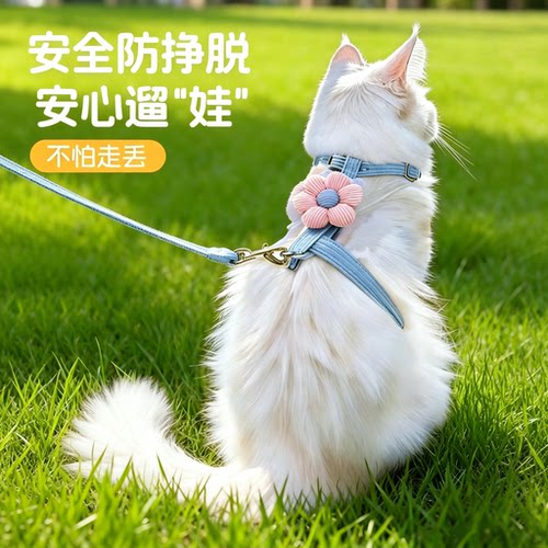 猫咪牵引绳猫绳防挣脱不勒脖遛猫