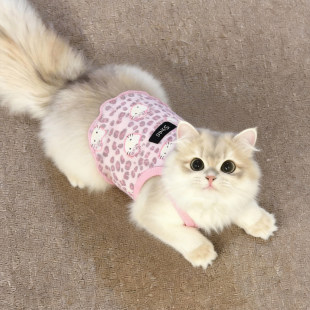豹纹猫咪衣服春装薄款宠物吊带凉感夏布偶金渐层英短狗狗透气背心