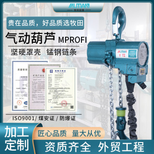 MPROFI防爆气动葫芦1吨 矿用船用防爆气动葫芦 0.25T 10T