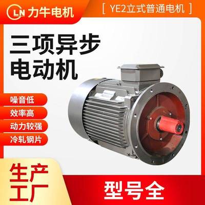 三相异步电机厂家YE2系列交流电机 全铜线380V电动机 机械设备用