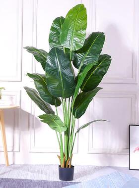 北欧绿色植被大型仿真植物落地旅人蕉胶叶盆景室内植物仿真树盆栽