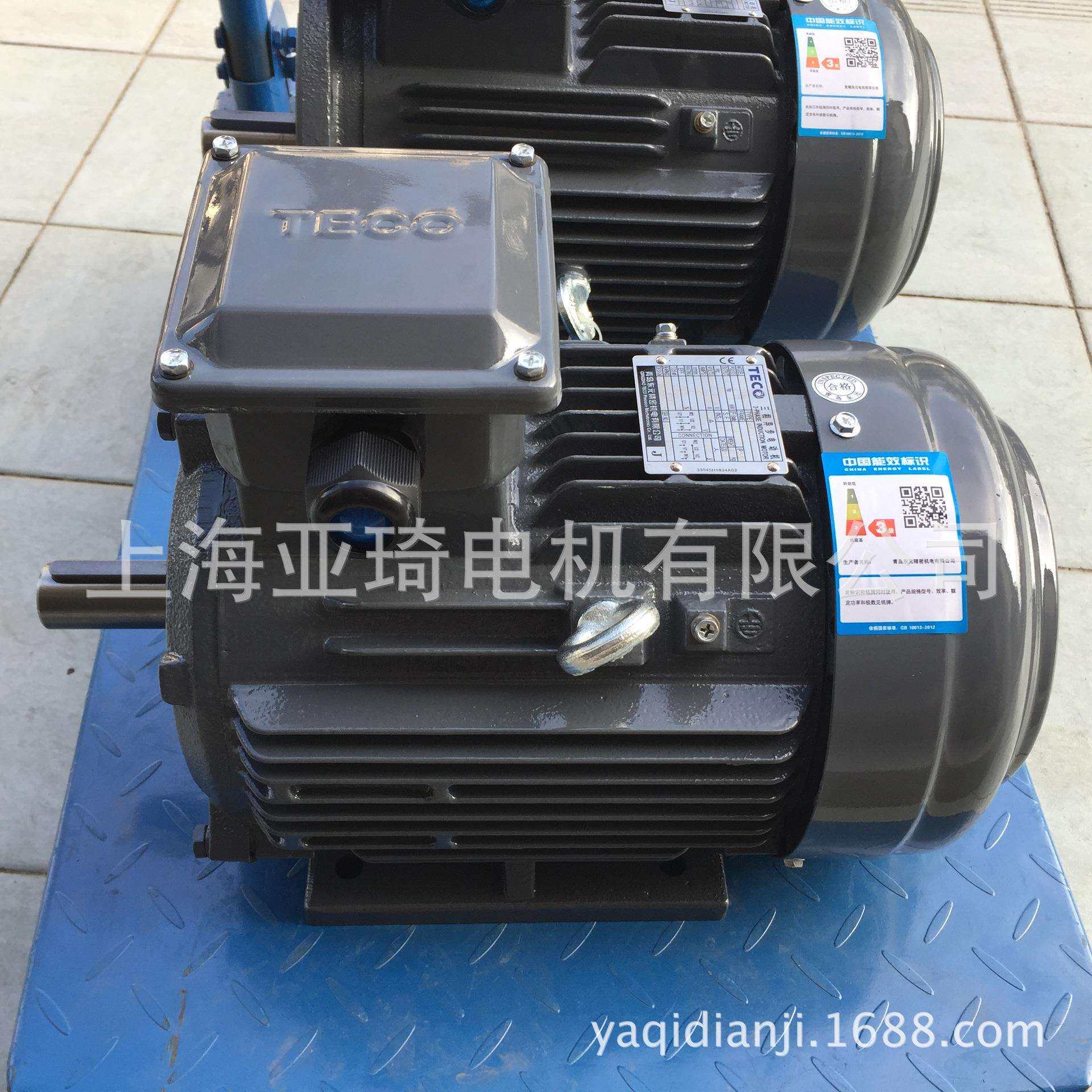 AEEVVS50HP37KW无锡东元电机TECO电机V系列标准顶出线|现货