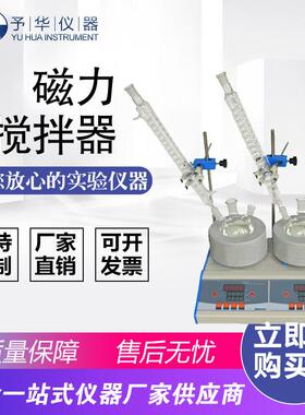 数显多联磁力搅拌电热套ZNCL-DLS-2联50ml100ml250ml500ml