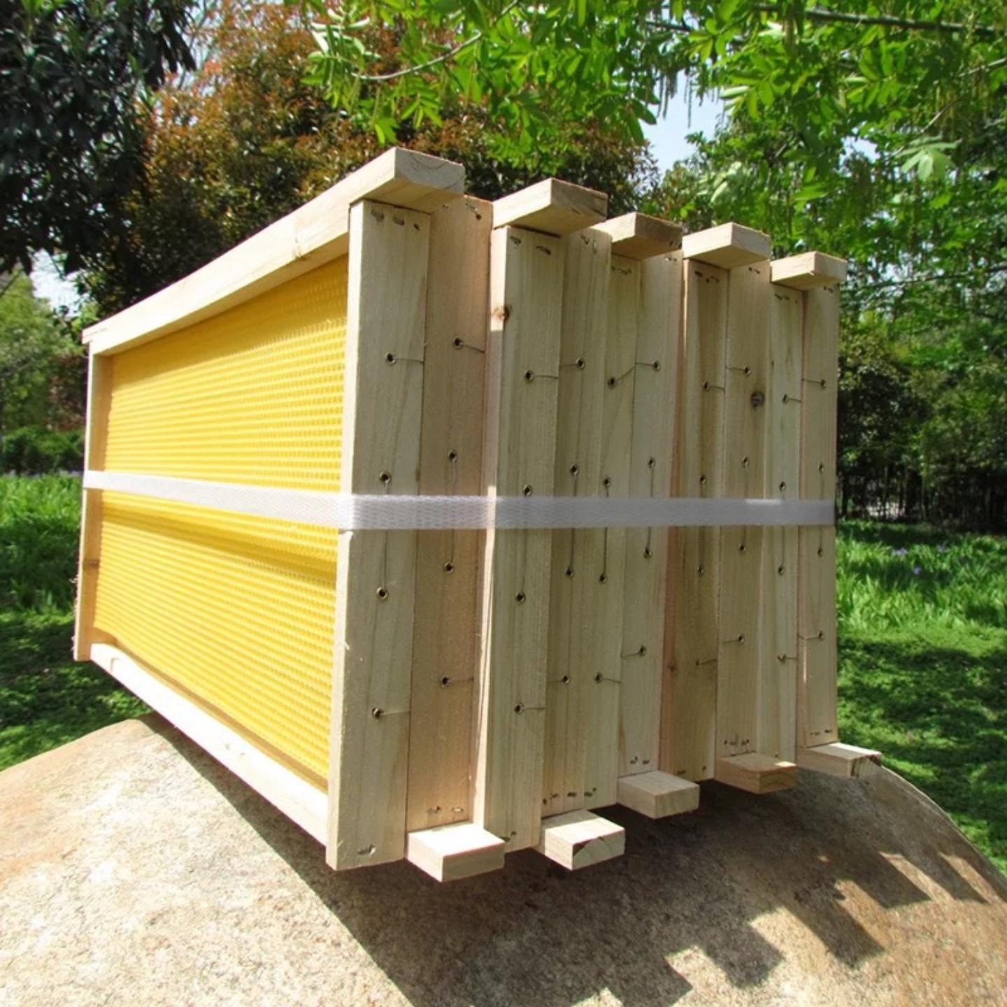 蜂箱巢框标准尺寸养蜂工具中蜂巢础深房蜜蜂巢经济授粉蜂具蜂农
