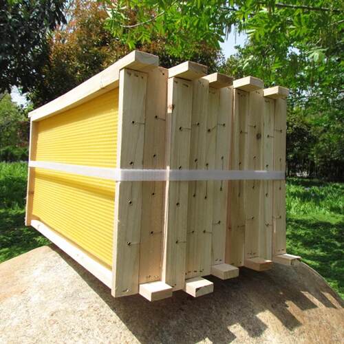 蜂箱巢框标准尺寸养蜂工具中蜂巢础深房蜜蜂巢经济授粉蜂具蜂农