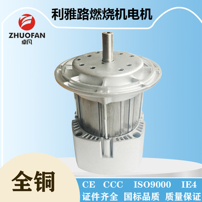 【卓凡电机】利雅路电机燃烧器风机RIELLO专用电机300W350WRS34RS