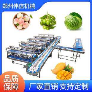 全自动水果选果分级机果蔬分选机火龙果重量分选机机械食品级分拣