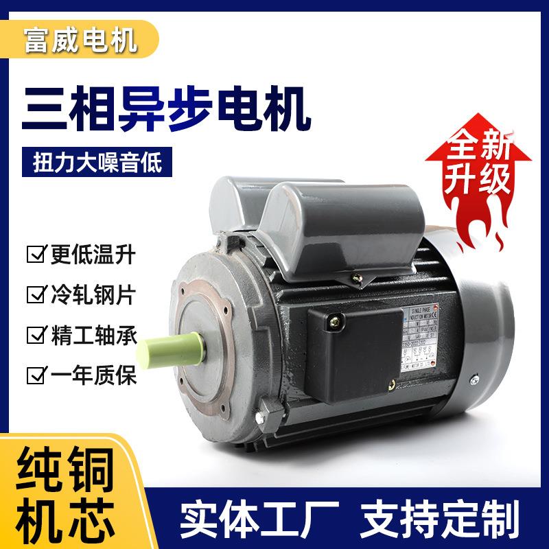 YL802-4B14单相750W高效电动机小法兰1400rpm铁壳冰淇淋机用电机