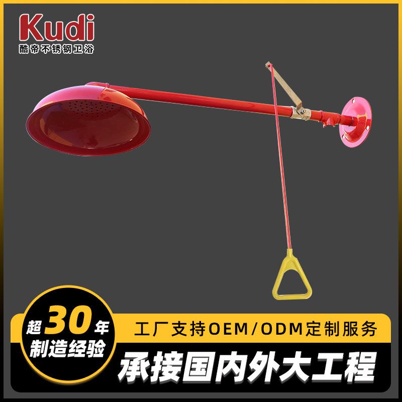 化工车间304不锈钢紧急双喷头洗眼器验厂壁挂款洗眼装备应急防护