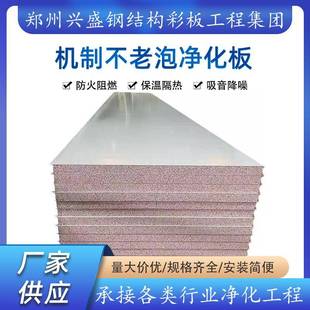 真金不老泡洁净板净化工程吊顶用夹芯板防火耐高温保温防尘