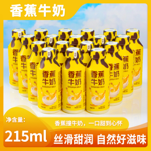 新日期早餐香蕉牛奶饮品香蕉酸奶215ml整箱批发果味牛奶宿舍聚会