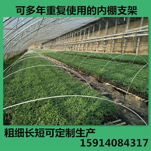 小拱棚支架 农用蔬菜暖棚花卉拱竿骨架拱竿育苗拱棚竿地拱塑料杆