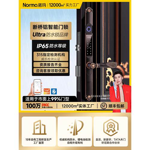 诺玛别墅庭院入户欧式专用指纹智能锁家用铝艺户外密码防水大门锁
