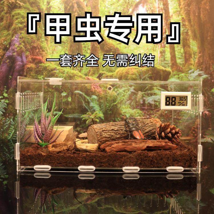 独角仙饲养盒套餐亚克力锹甲虫饲养盒箱大兜虫昆虫蜗牛蜘蛛爬宠盒,宠物/宠物食品及用品,桌面缸,淘宝优惠券,粉丝福利购,淘宝优惠卷