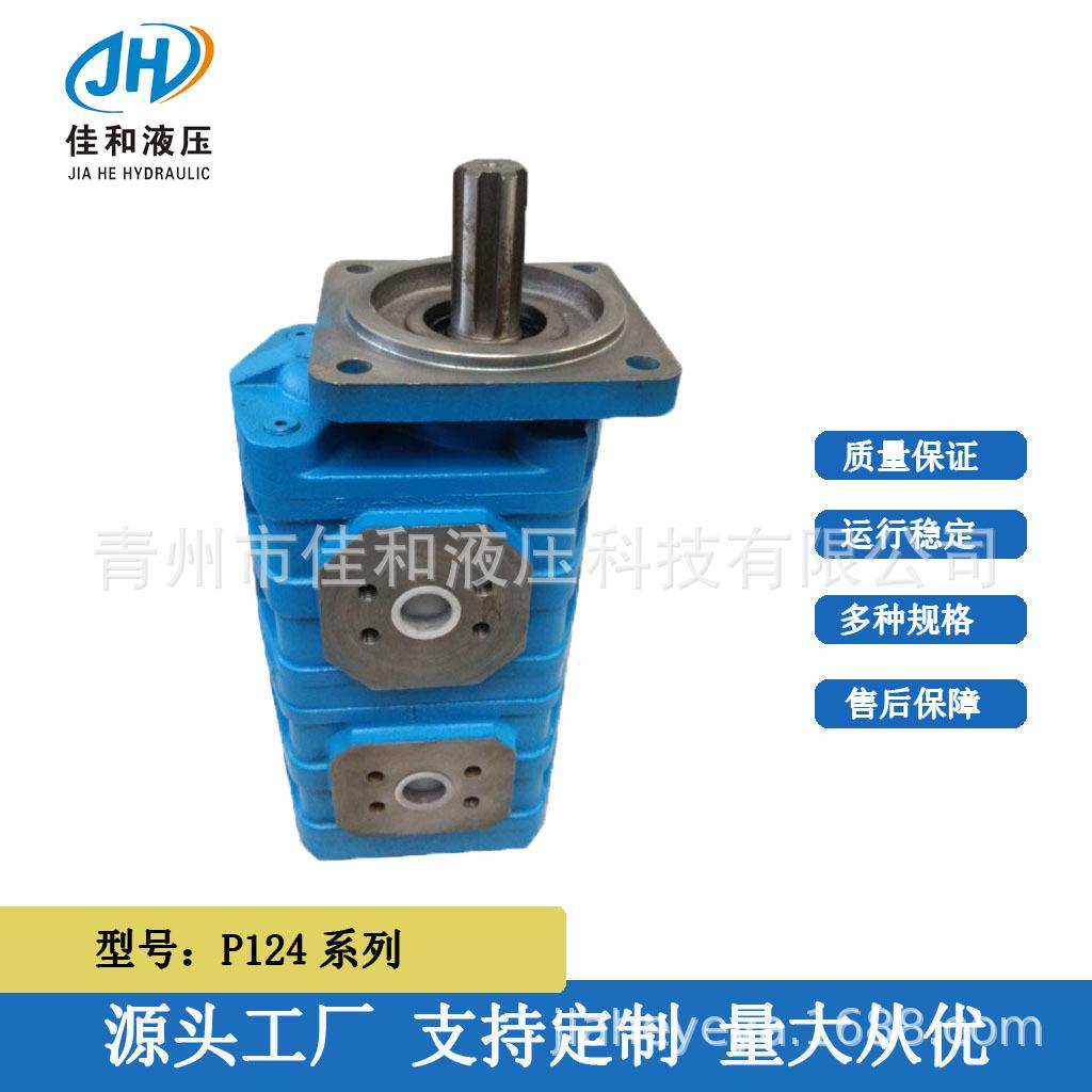 泊姆克双联齿轮泵 厂家供应 天津泊姆克液压泵 三联齿轮油泵