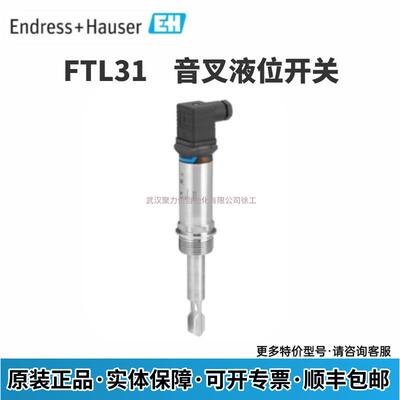 E+H 音叉液位开关 FTL31-13J8/0 FTL31-AA4M2AAW5J 原装 现货