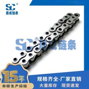 10BHPF3 短节距空心销轴链条 节距 15.875 空心链 网带穿杆链