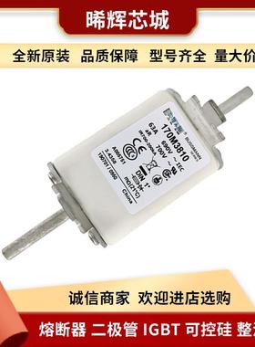 170M3810 170M3811 直流快速熔断器 库存充足 型号齐全现货