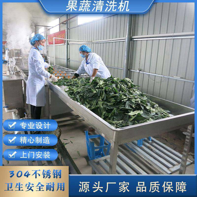 玉米高压气泡清洗机 杏子杏干清洗风干流水线 水果蔬菜专用清洗机,清洗/食品/商业设备,果蔬加工设备,淘宝优惠券,粉丝福利购,淘宝优惠卷