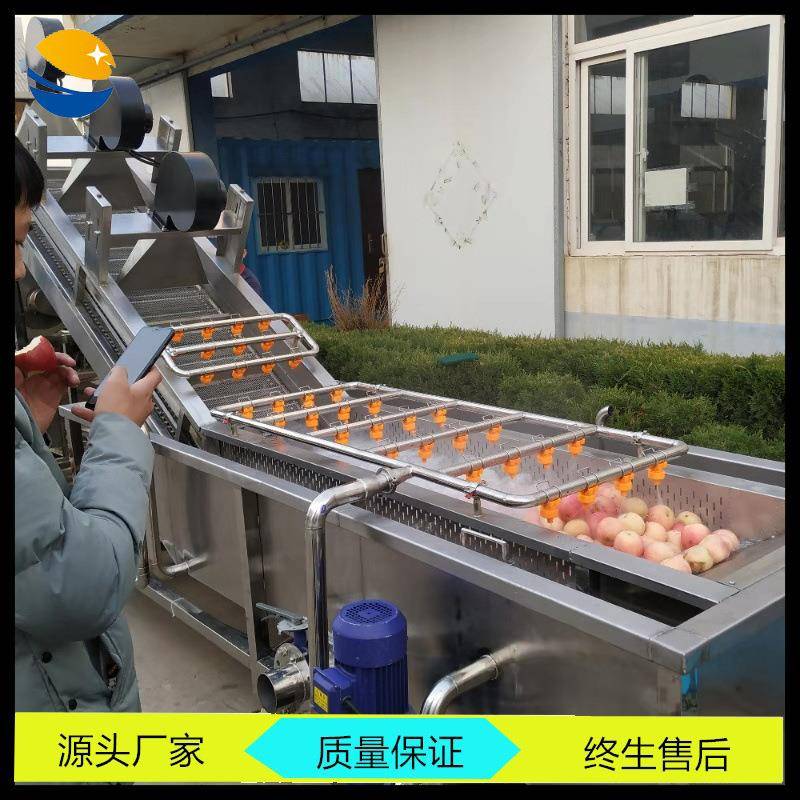 厂家生产脐橙气泡清洗机 果蔬加工厂用水浴式清洗设备 酸橙洗果机