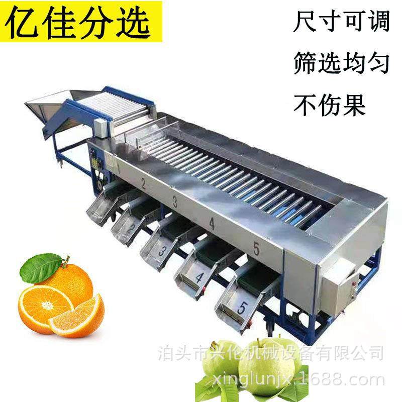 选果机 马铃薯分级机 小龙虾筛选机 红薯分拣机 滚杠式果蔬分选机