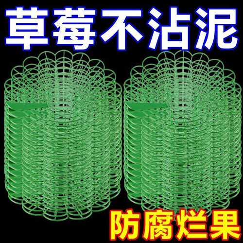 阳台盆栽草莓倒伏支架