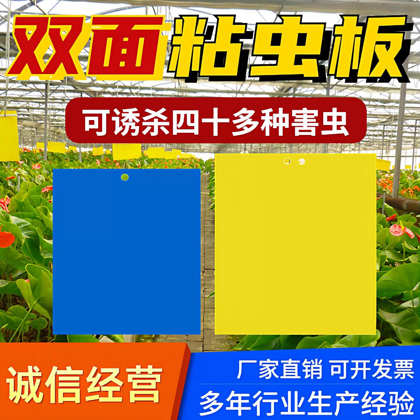 双面粘虫板大棚果树瓜菜园黄板沾小黑飞防虫贴纸蓟马蓝板诱虫板