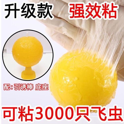 粘虫子粘飞虫球果蝇苍蝇超市粘虫球水果店家用无毒小飞虫诱捕器