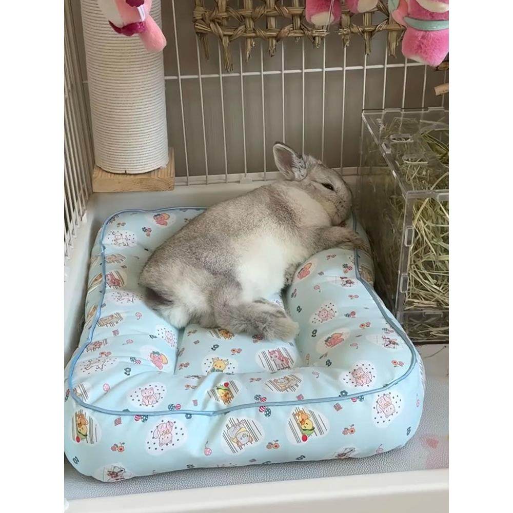 宠物垫子兔子凉感窝四季通用猫狗兔子趴趴垫加厚垫夏季2025年新款,宠物/宠物食品及用品,猫狗垫子,淘宝优惠券,粉丝福利购,淘宝优惠卷