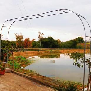 大胆25mm镀锌钢管植物攀爬框架弧形拱形葡萄架户外铁花架玫瑰藤架