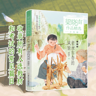 力量儿童文学作品茅盾文学家给孩子亲情教育书儿童阅读 风景种子 梁晓声作品精选少年版 全3册慈母情深老水车旁