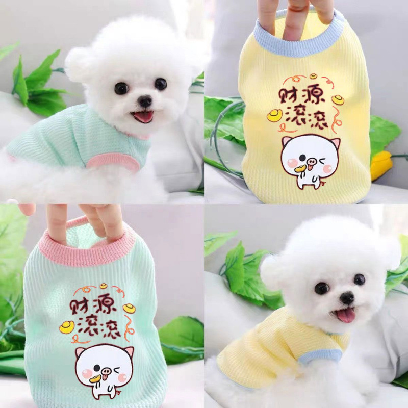 小狗狗猫咪衣服秋夏薄款比熊法斗