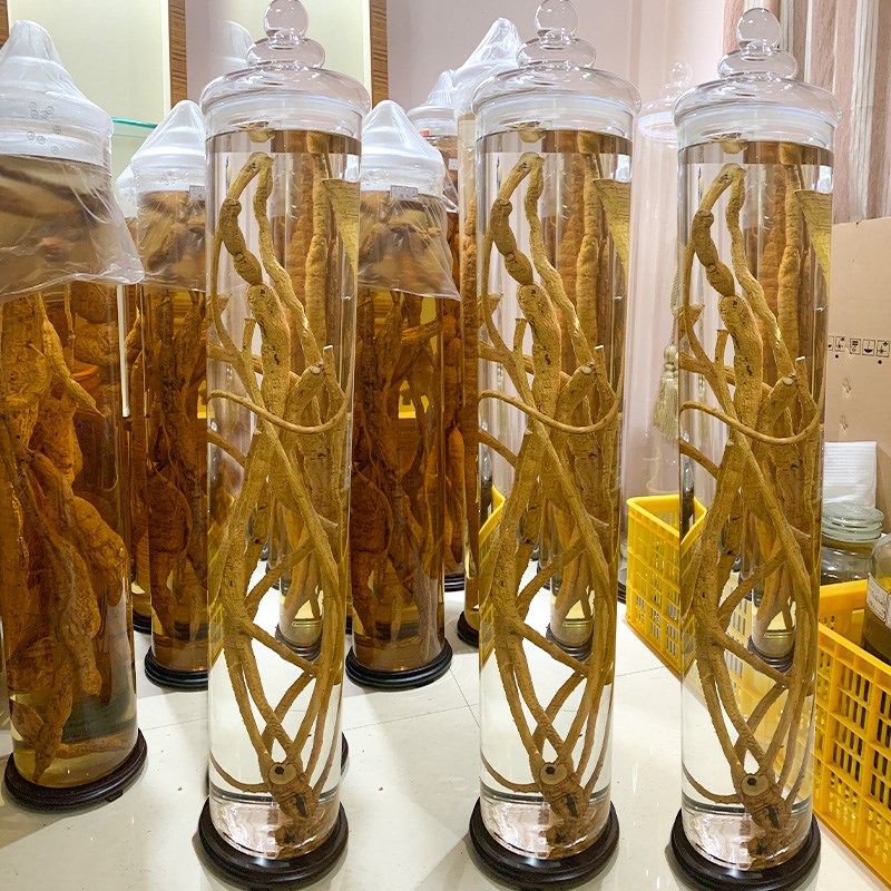 泡酒玻璃密封酒瓶牛大力肉蓉苁人参药酒罐高硼硅加厚玻璃容器