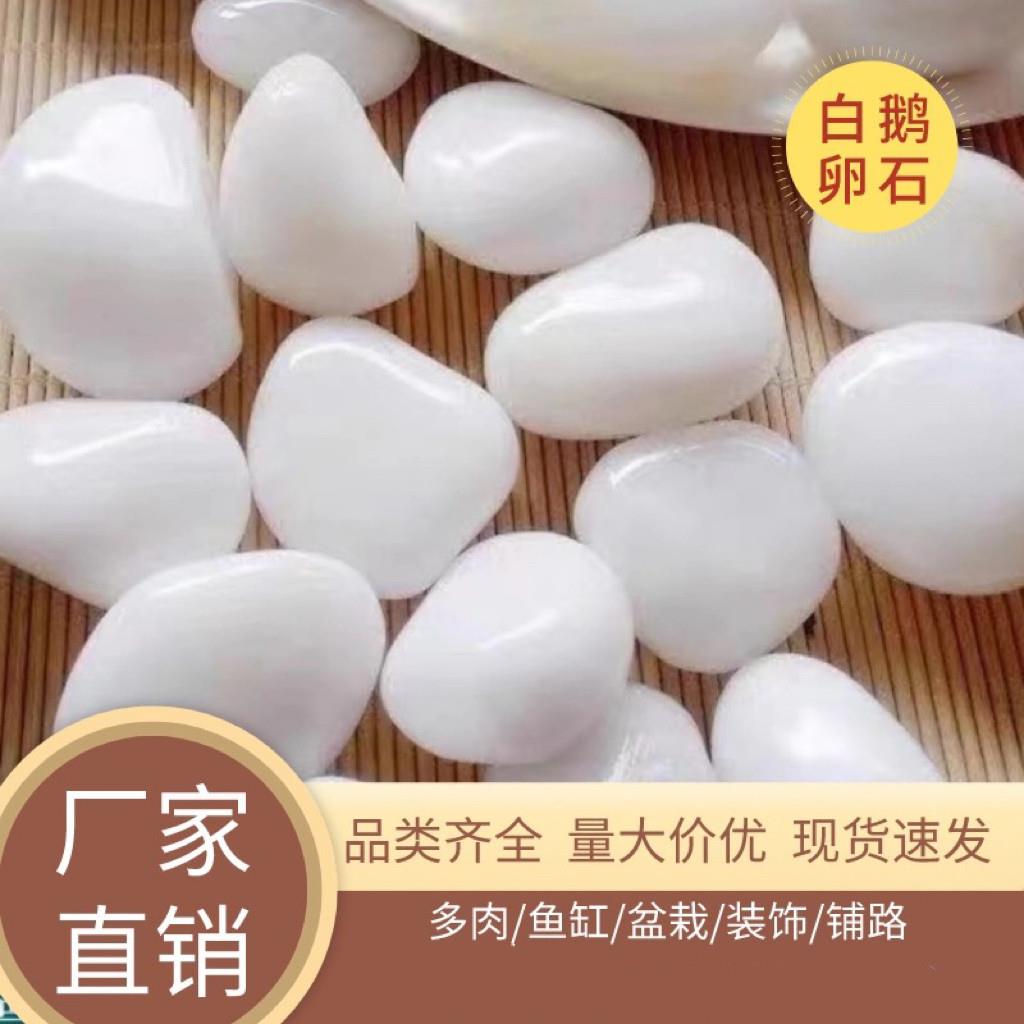 湖北白色鹅卵石大鹅卵石庭院铺地花园造景装饰鱼缸盆栽白色鹅卵石