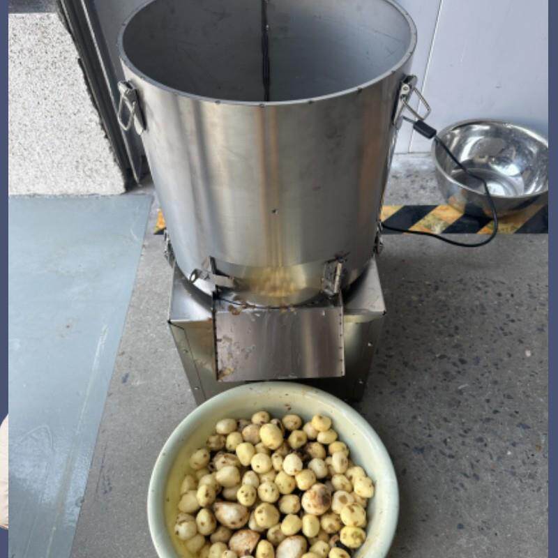 电动马蹄去皮机百香果小土豆削皮机山楂红枣脱皮商用葡萄剥皮机