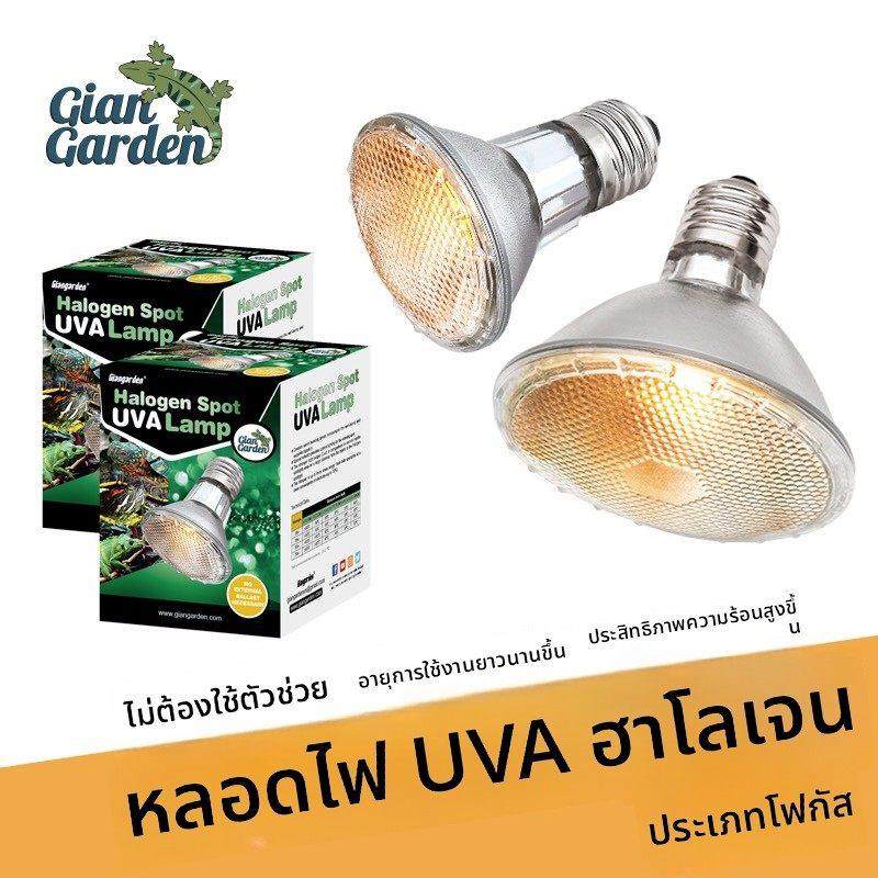 Giangaeden巨人爬虫UVA加热灯爬宠晒灯蜥蜴陆龟防爆保温灯聚光灯,宠物/宠物食品及用品,爬宠灯具,淘宝优惠券,粉丝福利购,淘宝优惠卷