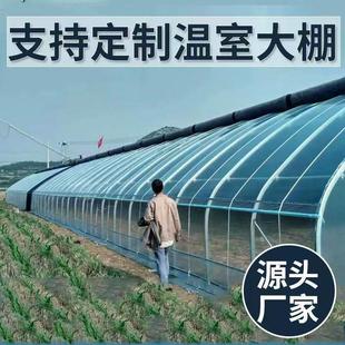 养殖大棚全套大棚骨架家用温室种植棚专业养鸡棚羊棚牛棚养猪大棚