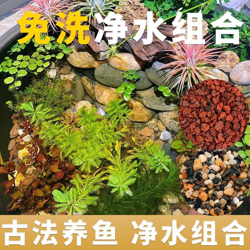 精洗精品溪流石火山石鱼缸底砂套餐水草装饰沙子铺底古法养鱼造景