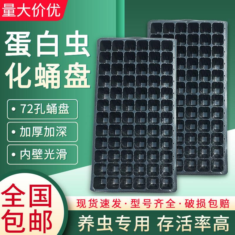 蛋白虫无孔化蛹盘加深加厚50孔72孔7cm化蛹大麦虫孵化育苗盘专用