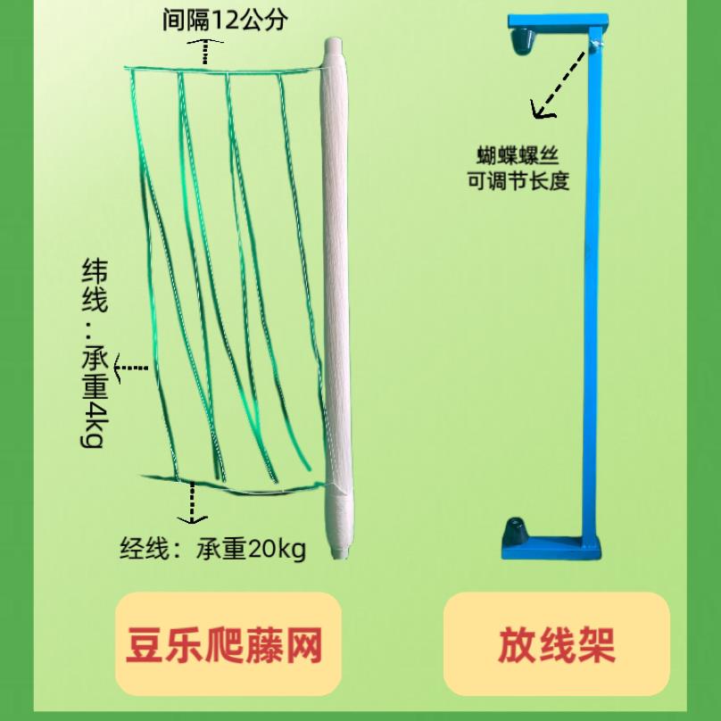 豆乐爬藤网四季豆网豌豆网豇豆豆角网豆种植免挂线厂家豆角爬藤网